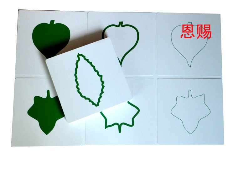 14*14cm Leaf cards