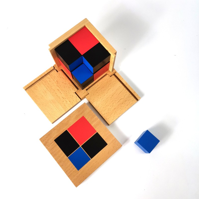 Binomal cube beech wood box